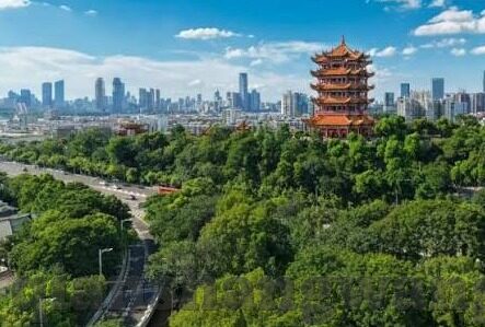 麻豆91免费版-麻豆91免费版，技术传播的双刃剑