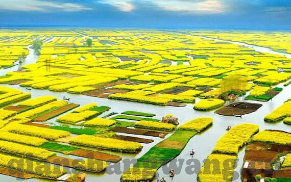 麻豆传媒视频网站在线tv-麻豆传媒，在线视频的新趋势与内容考量
