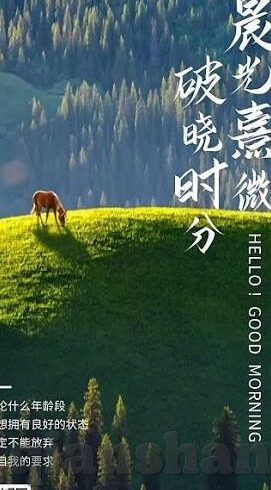 麻豆视频app破解版蓝奏云-揭秘互联网灰色地带——麻豆视频app破解版在蓝奏云平台上的传播与影响
